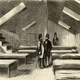 Illustration for article titled When Floating Hospitals Roamed The Seas